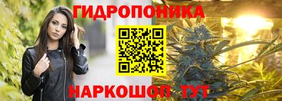 сатива Коммунар